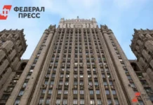 Татьяна Довгаленко обсуждает перспективы сотрудничества между Россией и Африкой tatyana dovgalenko obsuzhdaet perspektivy sotrudnichestva mezhdu rossiej i afrikoj-gazetarf-ru-0