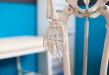 Ученые из Пермского Политеха создали инновационный материал для регенерации кости uchenye iz permskogo politeha sozdali innovaczionnyj material dlya regeneraczii kosti-gazetarf-ru-0