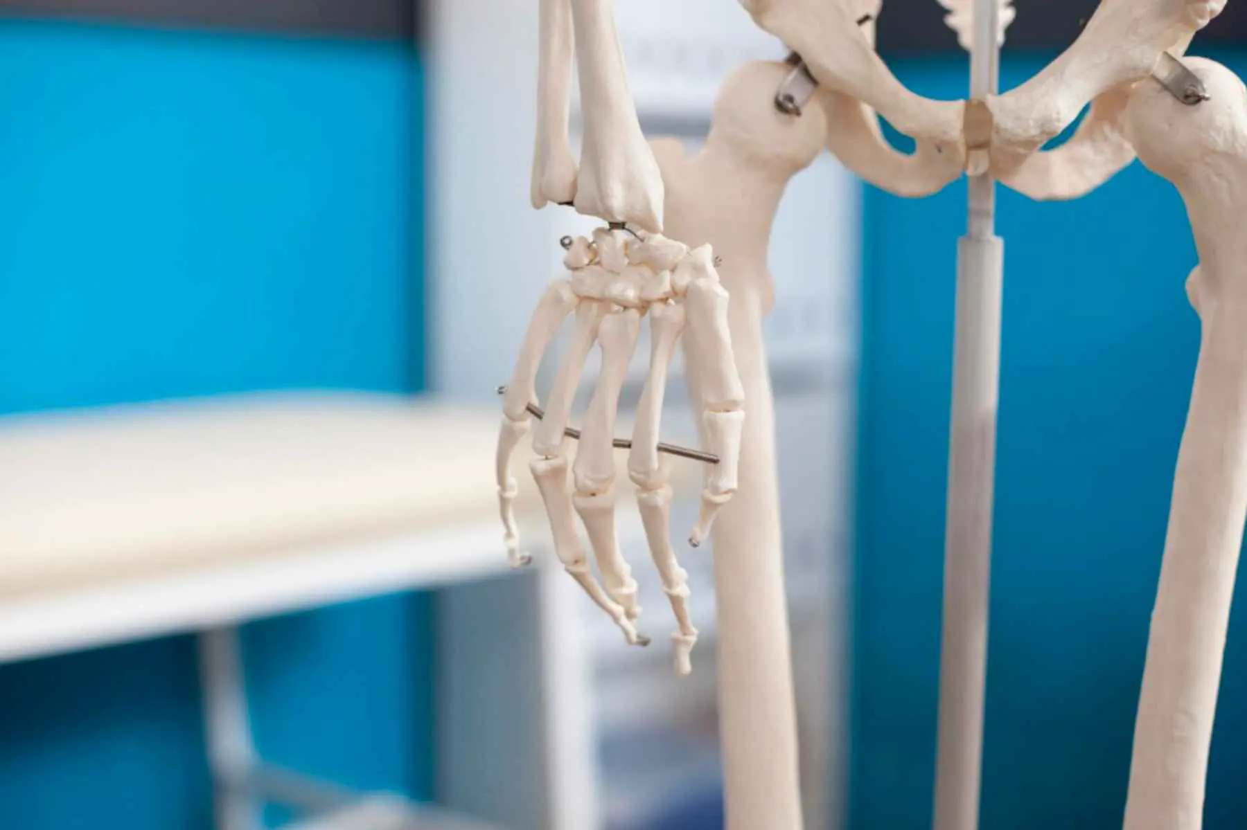 Ученые из Пермского Политеха создали инновационный материал для регенерации кости-0