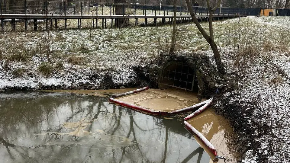 Загрязнение Яузы после разлива маслянистого вещества ликвидировали
