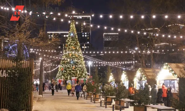 В Нижневартовске полиция нашла Гринча, укравшего гирлянды с елки-0