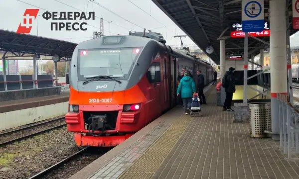 Вагоны из Калининграда, Бреста и Гомеля прибывают в Петербург с задержкой-0