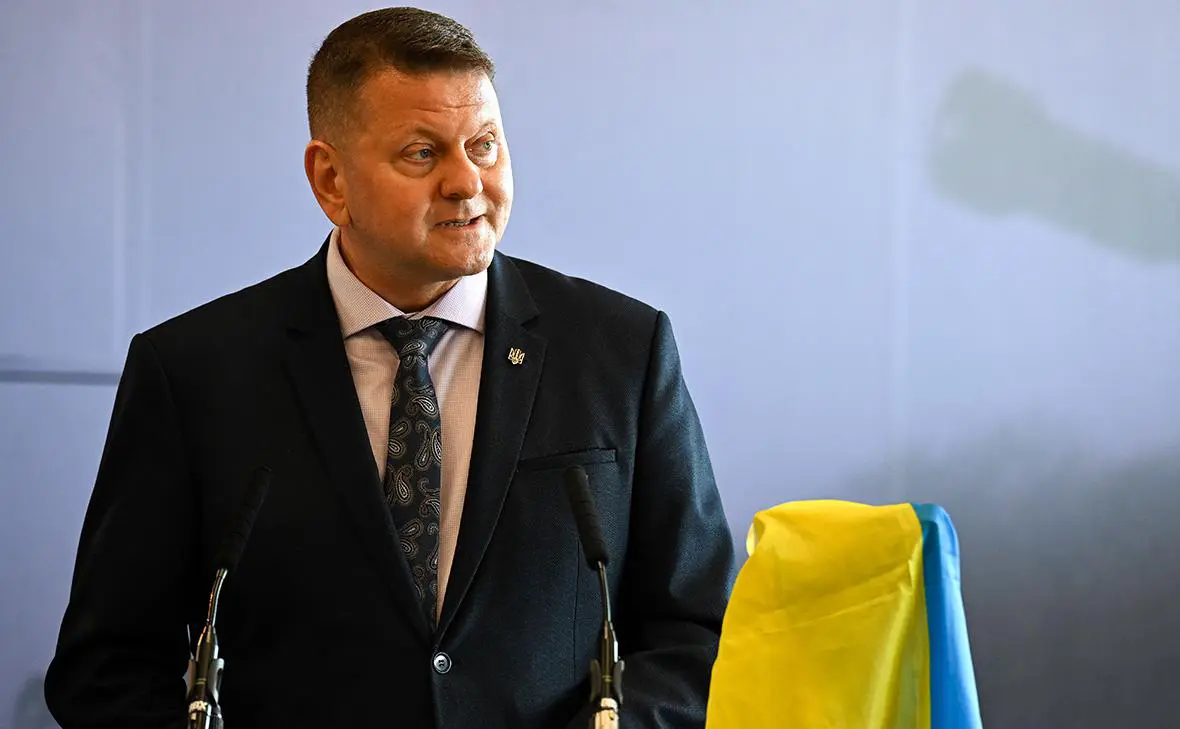 Валерий Залужный (Finnbarr Webster / Getty Images)