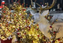 Яркий Новый Год в Омске с прогнозом погоды для идеальных праздников yarkij novyj god v omske s prognozom pogody dlya idealnyh prazdnikov-gazetarf-ru-0