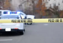 Загадочная находка в Вуллонгонге вдохновляет жителей Нового Южного Уэльса, история Кирстен Мориарти zagadochnaya nahodka v vullongonge vdohnovlyaet zhitelej novogo yuzhnogo uelsa istoriya kirsten moriarti-gazetarf-ru-0