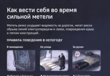 Чек Индекс Платформа ОФД фиксирует рост продаж лопат и тюбингов chek indeks platforma ofd fiksiruet rost prodazh lopat i tyubingov-gazetarf-ru-0