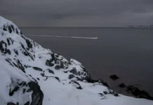 Дания и США могут мирно сотрудничать в Гренландии daniya i ssha mogut mirno sotrudnichat v grenlandii-gazetarf-ru-0