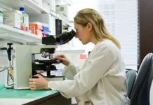 Duke-NUS и NUHS открыли новые факторы риска рака желудка i otkryli novye faktory riska raka zheludka-gazetarf-ru-0