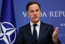 mark ryutte spor o grenlandii otvlekaet ot ukrainy v davose-gazetarf-ru-0