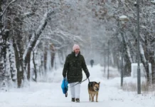 Москва и Подмосковье переживают рекордный снегопад, сообщает Гидрометцентр РФ moskva i podmoskove perezhivayut rekordnyj snegopad soobshhaet gidrometczentr rf-gazetarf-ru-0
