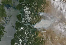 Национальный парк Лос-Алерсес в Аргентине поддерживает уникальные леса алерсе naczionalnyj park losalerses v argentine podderzhivaet unikalnye lesa alerse-gazetarf-ru-0