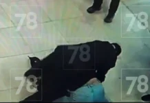 Николай Семенов о Сити Молл: охранники ТЦ могут избежать ответственности? nikolaj semenov o siti moll ohranniki tcz mogut izbezhat otvetstvennosti-gazetarf-ru-0