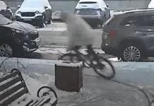 Полицейские ГУ МВД России раскрыли кражу велосипеда на Калитниковской policzejskie gu mvd rossii raskryli krazhu velosipeda na kalitnikovskoj-gazetarf-ru-0