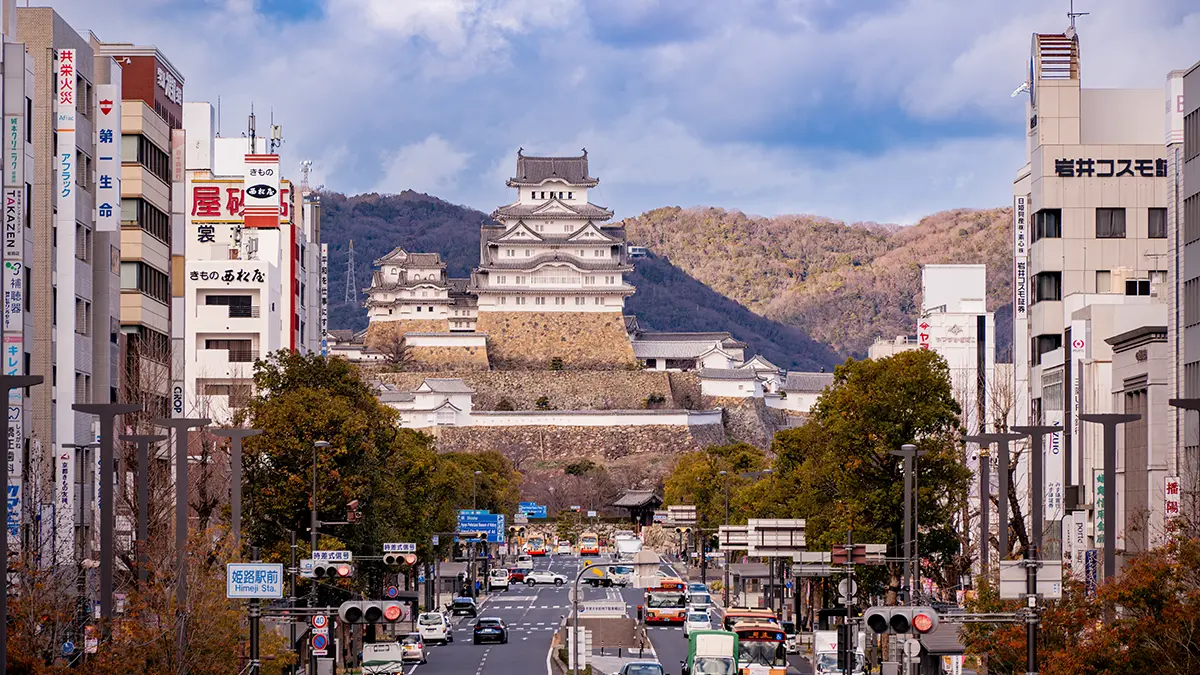 РФ в 2025 году стала лидером по темпам роста числа туристов, посетивших Японию