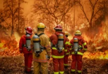 Ванга предрекла светлое будущее России и мира до 2026 года vanga predrekla svetloe budushhee rossii i mira do 2026 goda-gazetarf-ru-0