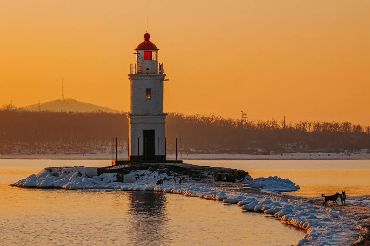 Больше 100 фильмов о Приморье поступило на конкурс "Дальний Восток – Земля приключений" Мария Смитюк, ИА PrimaMedia
