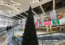 Булат Шакиров и СТЦ дали позитивный прогноз для будущего ТЦ bulat shakirov i stcz dali pozitivnyj prognoz dlya budushhego tcz-gazetarf-ru-0