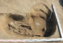 Чумыш-Перекат раскрывает тайны Алтая для ИИМК РАН chumyshperekat raskryvaet tajny altaya dlya iimk ran-gazetarf-ru-0