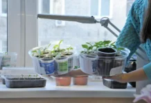 Фитолампы обеспечат идеальный рост перцев и петуний для рассады fitolampy obespechat idealnyj rost perczev i petunij dlya rassady-gazetarf-ru-0