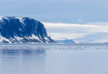 Геннадий Красников из РАН рассказал Путину о климате России gennadij krasnikov iz ran rasskazal putinu o klimate rossii-gazetarf-ru-0