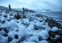 Китайские туристы проявили стойкость в заснеженной Териберке kitajskie turisty proyavili stojkost v zasnezhennoj teriberke-gazetarf-ru-0