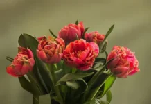 МГЮА: Евгения Сабитова раскрыла новые схемы мошенников к 14 февраля mgyua evgeniya sabitova raskryla novye shemy moshennikov k 14 fevralya-gazetarf-ru-0