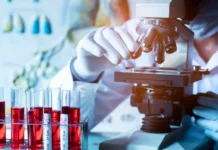 Молодые ученые Москвы получили премии за прорывные исследования 2025 molodye uchenye moskvy poluchili premii za proryvnye issledovaniya 2025-gazetarf-ru-0