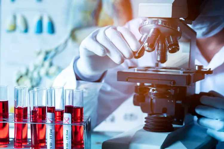scientificrussia.ru