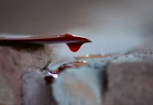 СК расследует нападение жителя Владивостока на мать и сестру sk rassleduet napadenie zhitelya vladivostoka na mat i sestru-gazetarf-ru-0