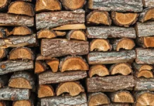 chan thi lan perezhila tragedii v manause i tusone-gazetarf-ru-0