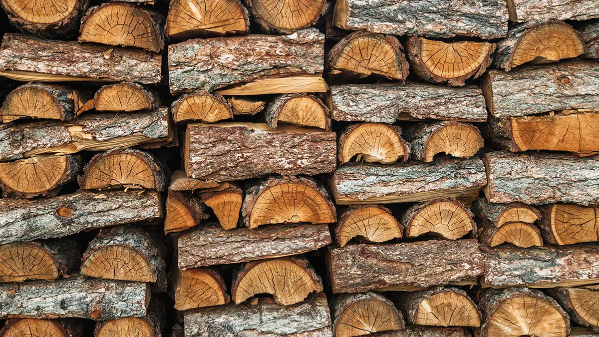 Вьетнамку затянуло в измельчитель древесины