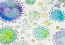 Геннадий Онищенко о COVID-19 BA.3.2 Цикада и роли Роспотребнадзора gennadij onishhenko o 19 32 czikada i roli rospotrebnadzora-gazetarf-ru-0