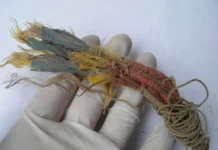 Ичма и удивительные связи с Амазонией задолго до инков ichma i udivitelnye svyazi s amazoniej zadolgo do inkov-gazetarf-ru-0