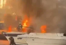 Инцидент с пожаром: Алые паруса и Royal Yacht Club в фокусе inczident s pozharom alye parusa i v fokuse-gazetarf-ru-0