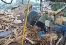 История Чан Тхи Лань из Вьетнама и инцидент в Свофхэме, Британия istoriya chan thi lan iz vetnama i inczident v svofheme britaniya-gazetarf-ru-0