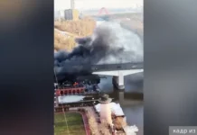 МЧС России быстро ликвидировали пожар на берегу Москвы-реки в столице mchs rossii bystro likvidirovali pozhar na beregu moskvyreki v stolicze-gazetarf-ru-0