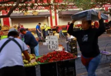 meksika glazami rossiyanki vpechatleniya ot povsednevnoj zhizni-gazetarf-ru-0