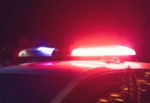 МВД Грузии сообщает о происшествии с россиянкой в отеле Тбилиси mvd gruzii soobshhaet o proisshestvii s rossiyankoj v otele tbilisi-gazetarf-ru-0