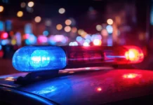 Николаевская полиция раскрыла причину взрыва посылки, убившей женщину nikolaevskaya policziya raskryla prichinu vzryva posylki ubivshej zhenshhinu-gazetarf-ru-0