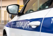 Соседка пострадала в Санкт-Петербурге после конфликта из-за собаки sosedka postradala v sanktpeterburge posle konflikta izza sobaki-gazetarf-ru-0