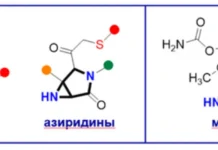 СПбГУ и Николай Ростовский с РНФ – новые горизонты тиол-еновой реакции spbgu i nikolaj rostovskij s rnf novye gorizonty tiolenovoj reakczii-gazetarf-ru-0