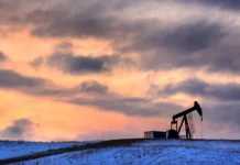 СПГ Ямала открывает новые перспективы поставок в Азию — Путин spg yamala otkryvaet novye perspektivy postavok v aziyu putin-gazetarf-ru-0