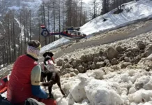 Турист из Альп Тироля встретился со снежной лавиной в Австрии turist iz alp tirolya vstretilsya so snezhnoj lavinoj v avstrii-gazetarf-ru-0