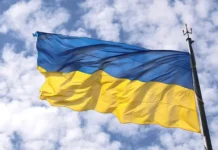 glenn dizen zapad ispolzuet ukrainu protiv rossii a nato-gazetarf-ru-0