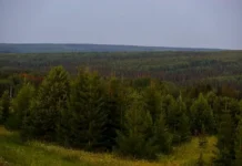 krasnoyarskij otryad prodolzhaet poiski semi usolczevyh-gazetarf-ru-0