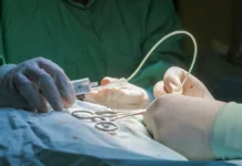 Новые возможности ОМС по Мурашко включают помощь при ожирении novye vozmozhnosti oms po murashko vklyuchayut pomoshh pri ozhirenii-gazetarf-ru-0