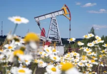 Россия и Саудовская Аравия укрепляют позиции на нефтяных рынках БРИКС rossiya i saudovskaya araviya ukreplyayut poziczii na neftyanyh rynkah briks-gazetarf-ru-0