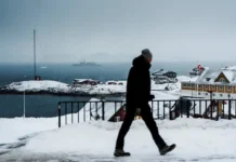 ssha daniya i nato sotrudnichayut dlya bezopasnosti grenlandii-gazetarf-ru-0