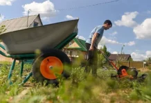 ganichkina raskryla sposob pobedit borshhevik dronami v podmoskove-gazetarf-ru-0