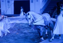 obnovlennyj konnyj teatr na vdnh mir s poeziej dmitriya besedy-gazetarf-ru-0